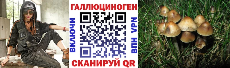 гидра сайт  Кореновск  Псилоцибиновые грибы Magic Shrooms  дарнет шоп 