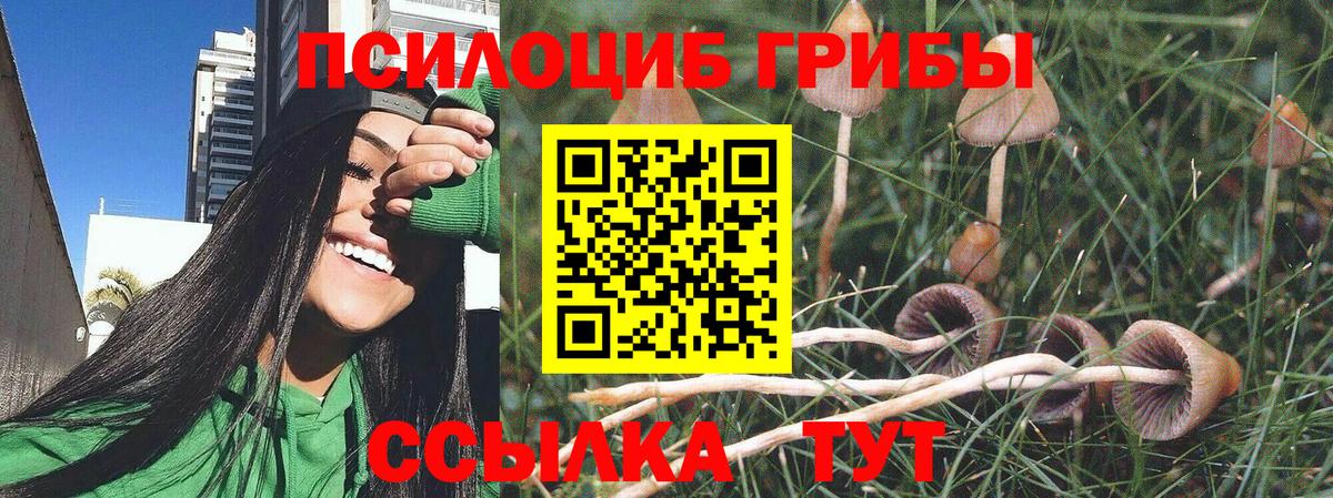 Псилоцибиновые грибы Psilocybine cubensis Кореновск