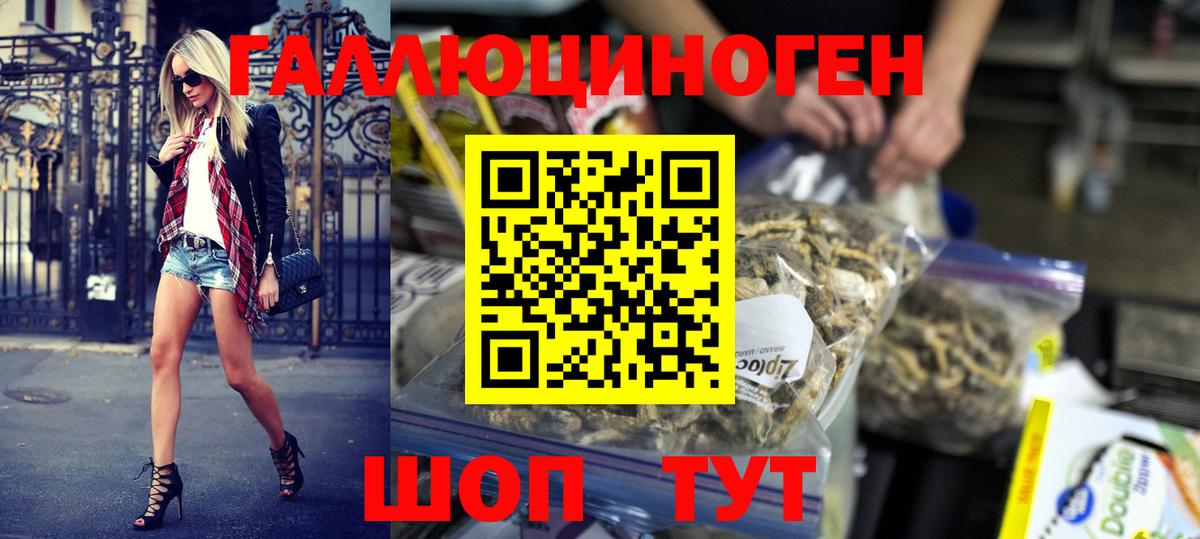 Кореновск  Галлюциногенные грибы мухоморы  Галлюциногенные грибы мицелий  Вход с VPN 